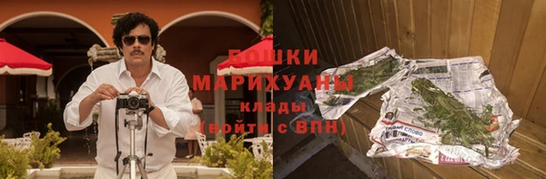 ПСИЛОЦИБИНОВЫЕ ГРИБЫ Дмитров