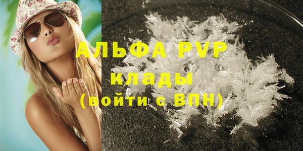 ПСИЛОЦИБИНОВЫЕ ГРИБЫ Дмитров