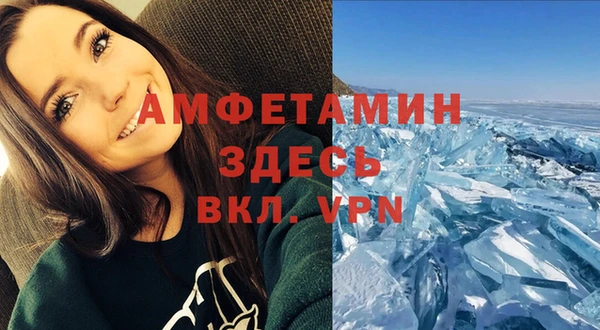 ПСИЛОЦИБИНОВЫЕ ГРИБЫ Дмитров