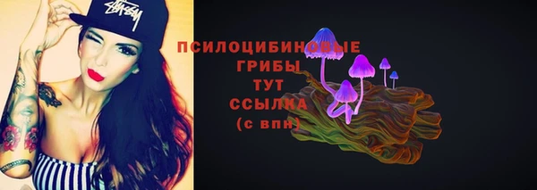 хмурый Дмитриев
