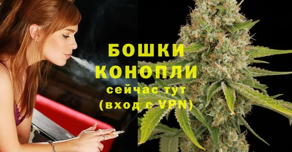 ПСИЛОЦИБИНОВЫЕ ГРИБЫ Дмитров