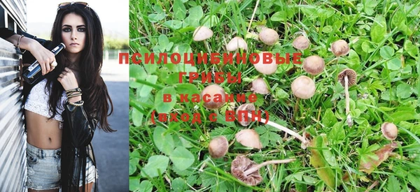 метадон Гусев