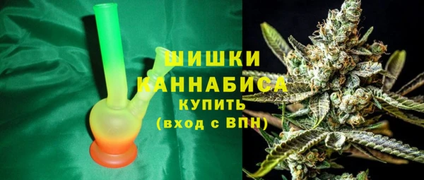 хмурый Дмитриев