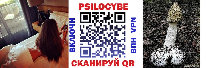 Псилоцибиновые грибы Psilocybe  наркота  Салават 