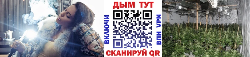Шишки марихуана SATIVA & INDICA  Салават 